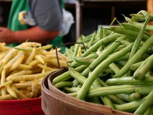 noosa markets