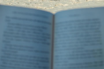 Lazy Day On The Beach With A Good Book